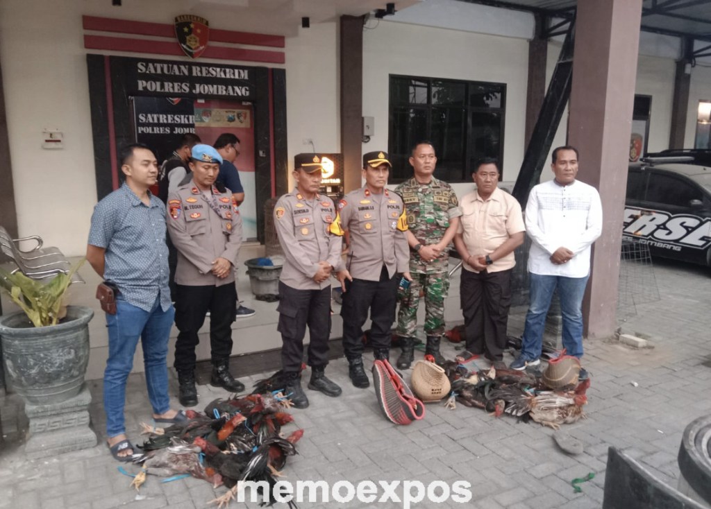 Judi Sabung Ayam Dekat Ponpes di Jombang Diobrak Polisi, 13 Orang&nbsp;Diamankan